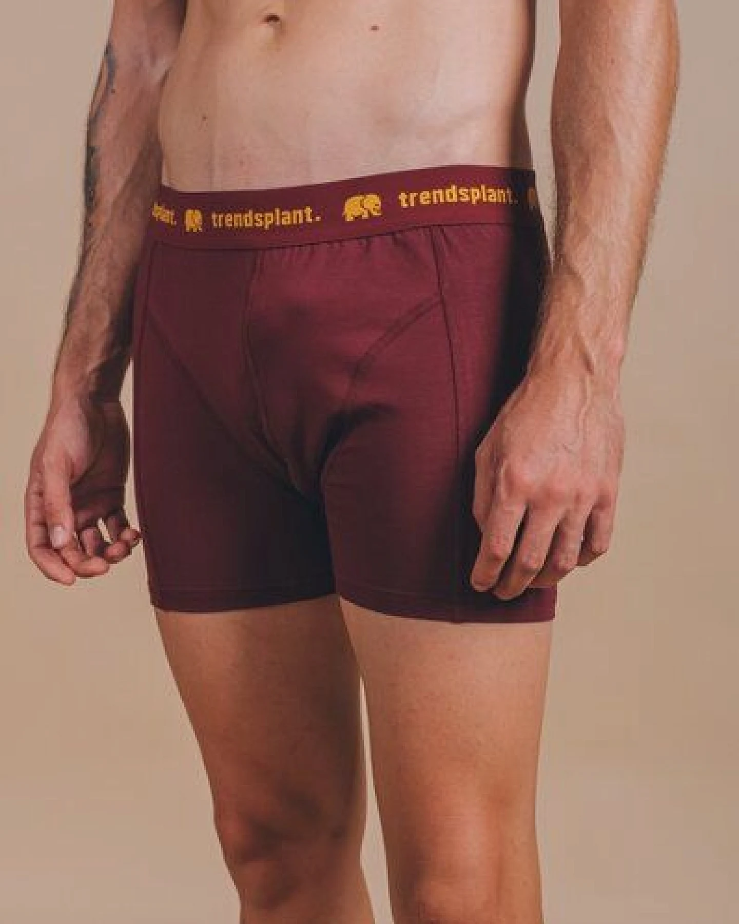 Trendsplant Organic Essential Boxer Briefs Burgundy – Ansicht 2