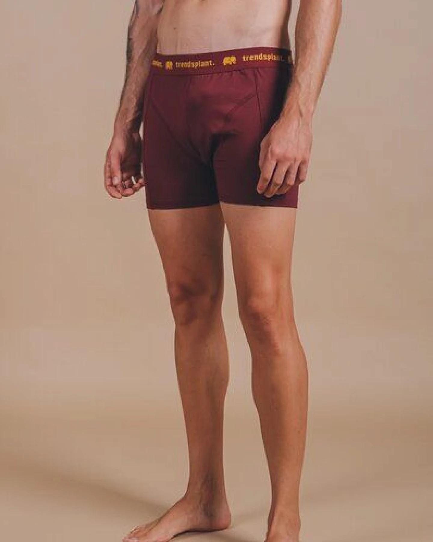 Trendsplant Organic Essential Boxer Briefs Burgundy – Ansicht 4