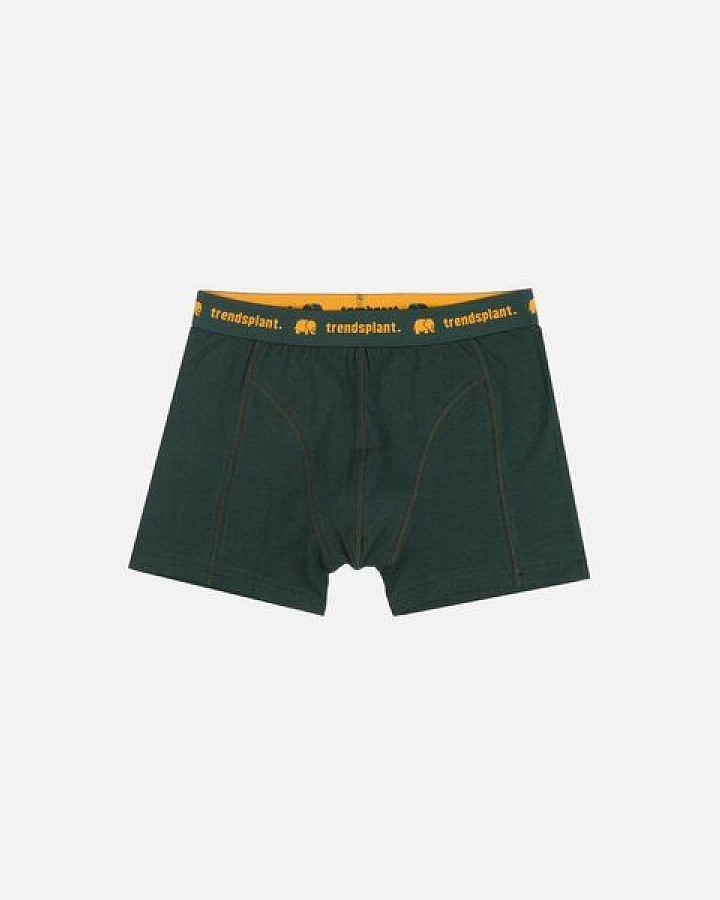 Trendsplant Organic Essential Boxer Briefs Green