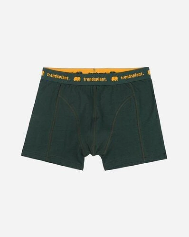 Trendsplant Organic Essential Boxer Briefs Green