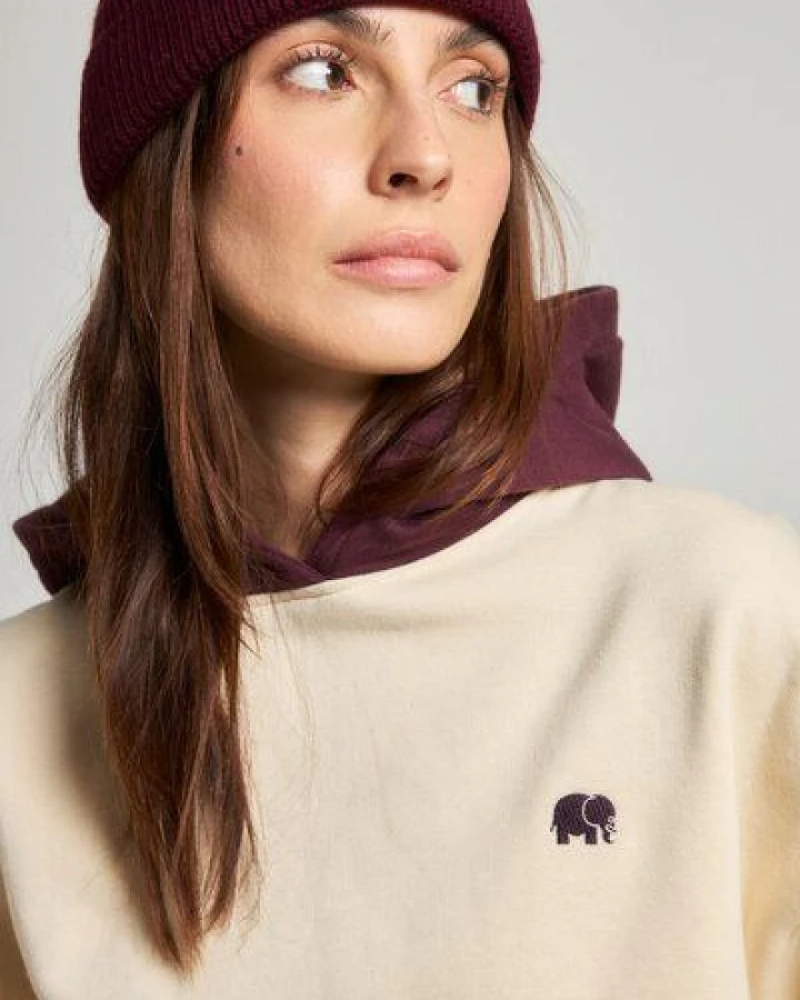 Trendsplant Women's Color Block Oversized Hoodie Pale Glow