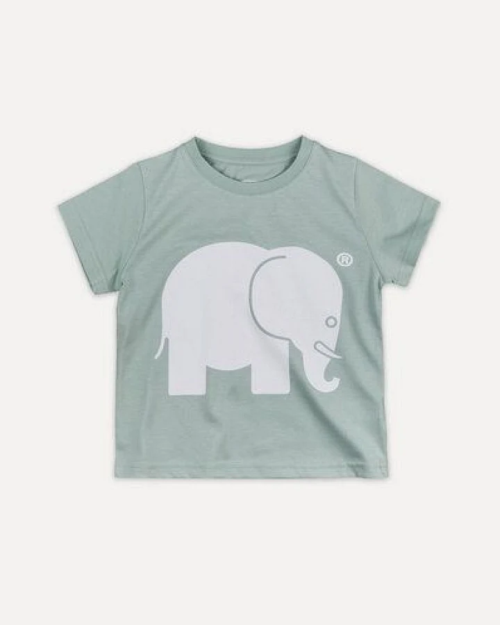 Trendsplant Kid's Organic Classic T-Shirt Mint Green