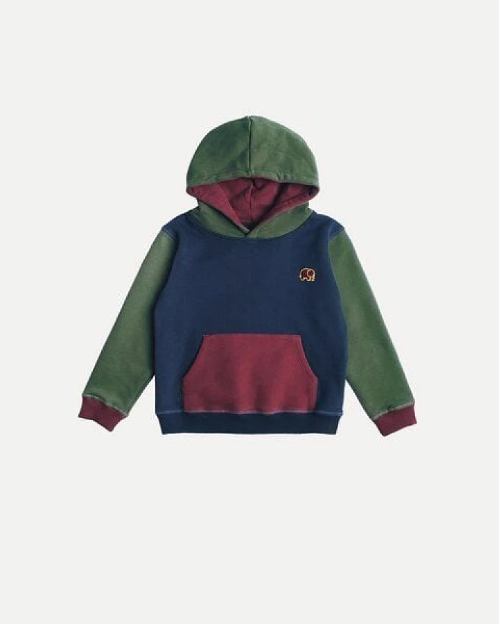 Kid's Color Block Hoodie Trendsplant Blue