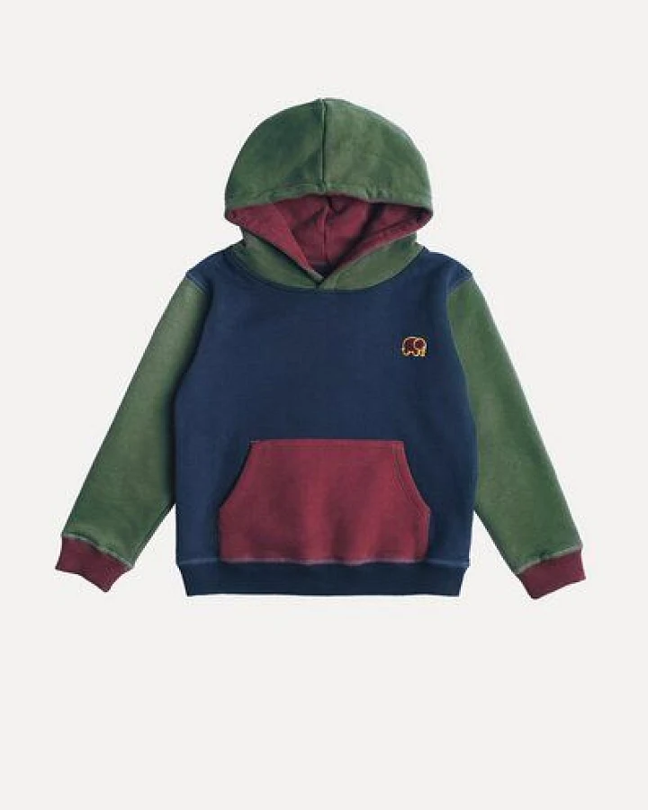 Kid's Color Block Hoodie Trendsplant Blue