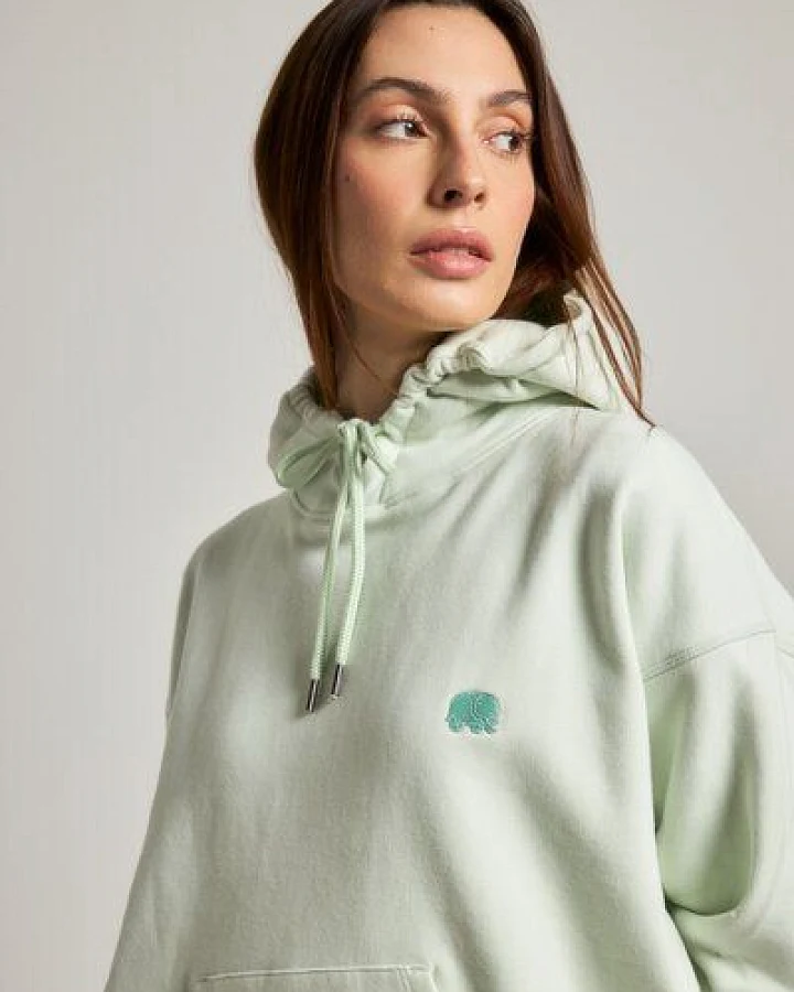 Trendsplant Women's Organic Essential Oversized Hoodie Mint Green
