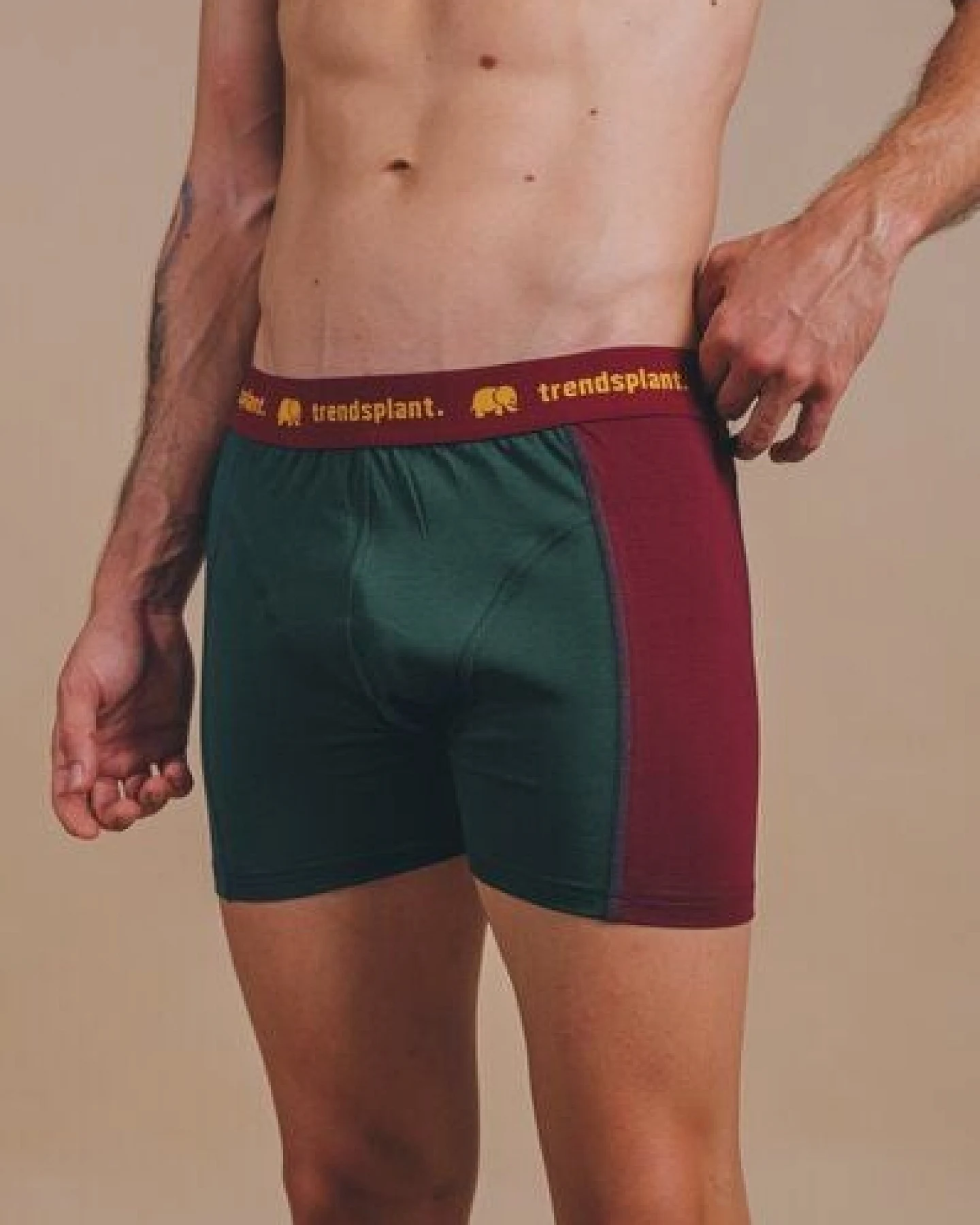 Trendsplant Organic Essential Boxer Briefs Color Block – Ansicht 2