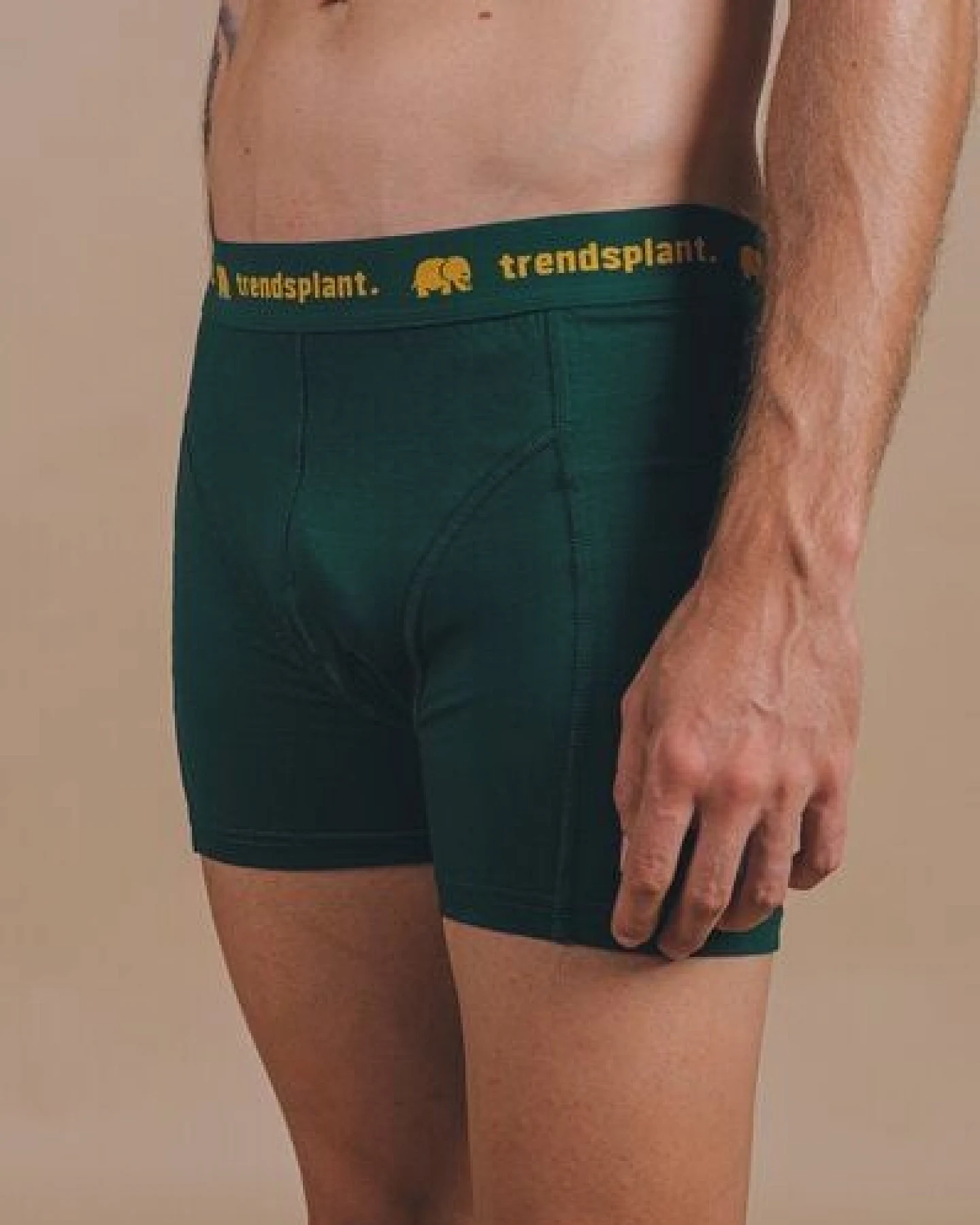 Trendsplant Organic Essential Boxer Briefs Green – Ansicht 2