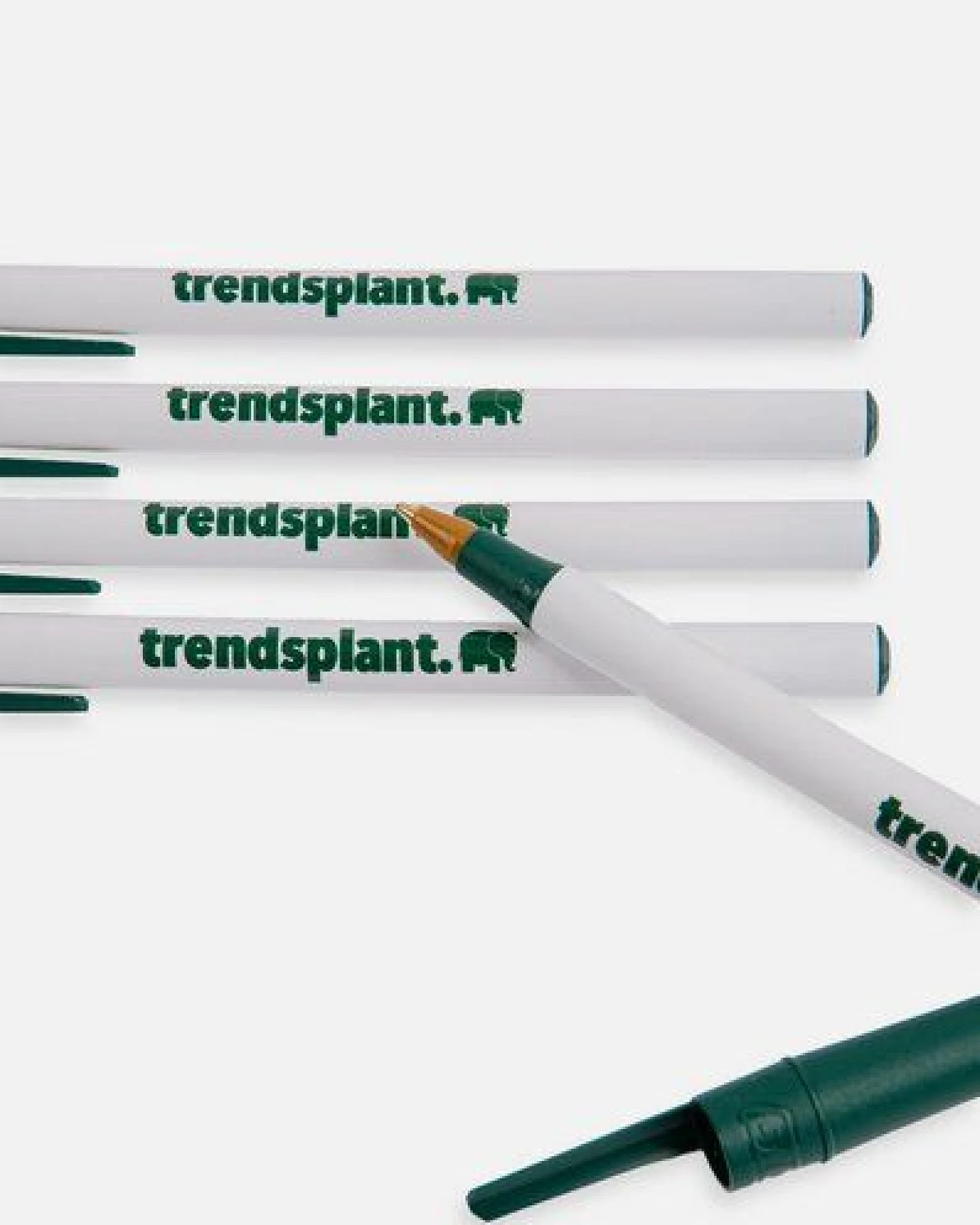 Trendsplant Logo BIC® Eco Ball Pen 5 Pack – Ansicht 3