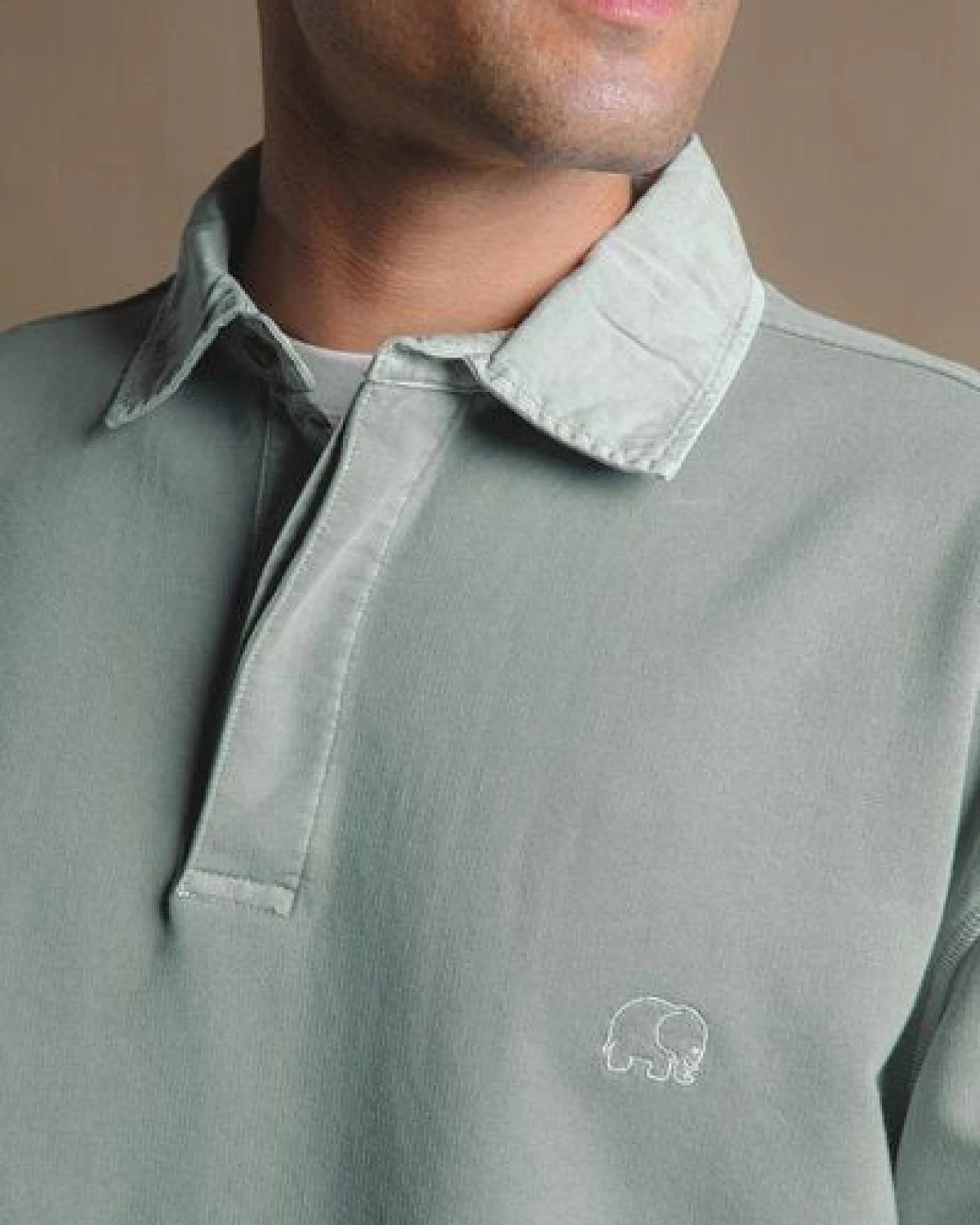 Trendsplant Carvalho Pigment Heavyweight Polo Sweatshirt Silver Green – Ansicht 3