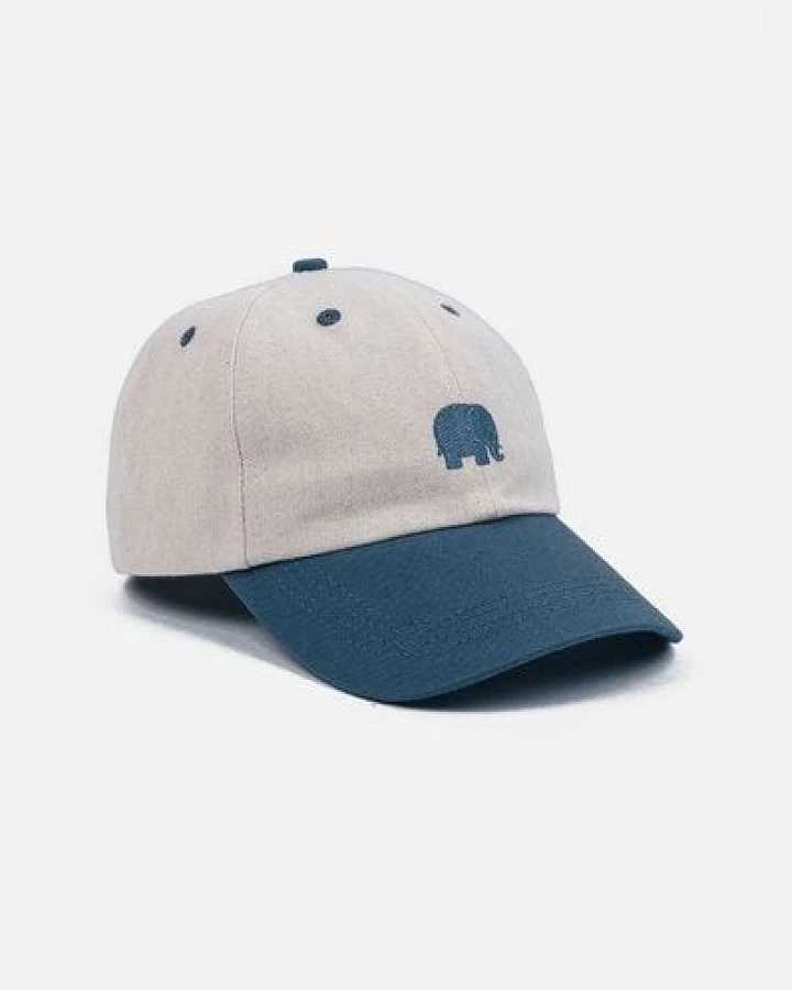 Trendsplant Logo Dad Cap Indigo Ecru