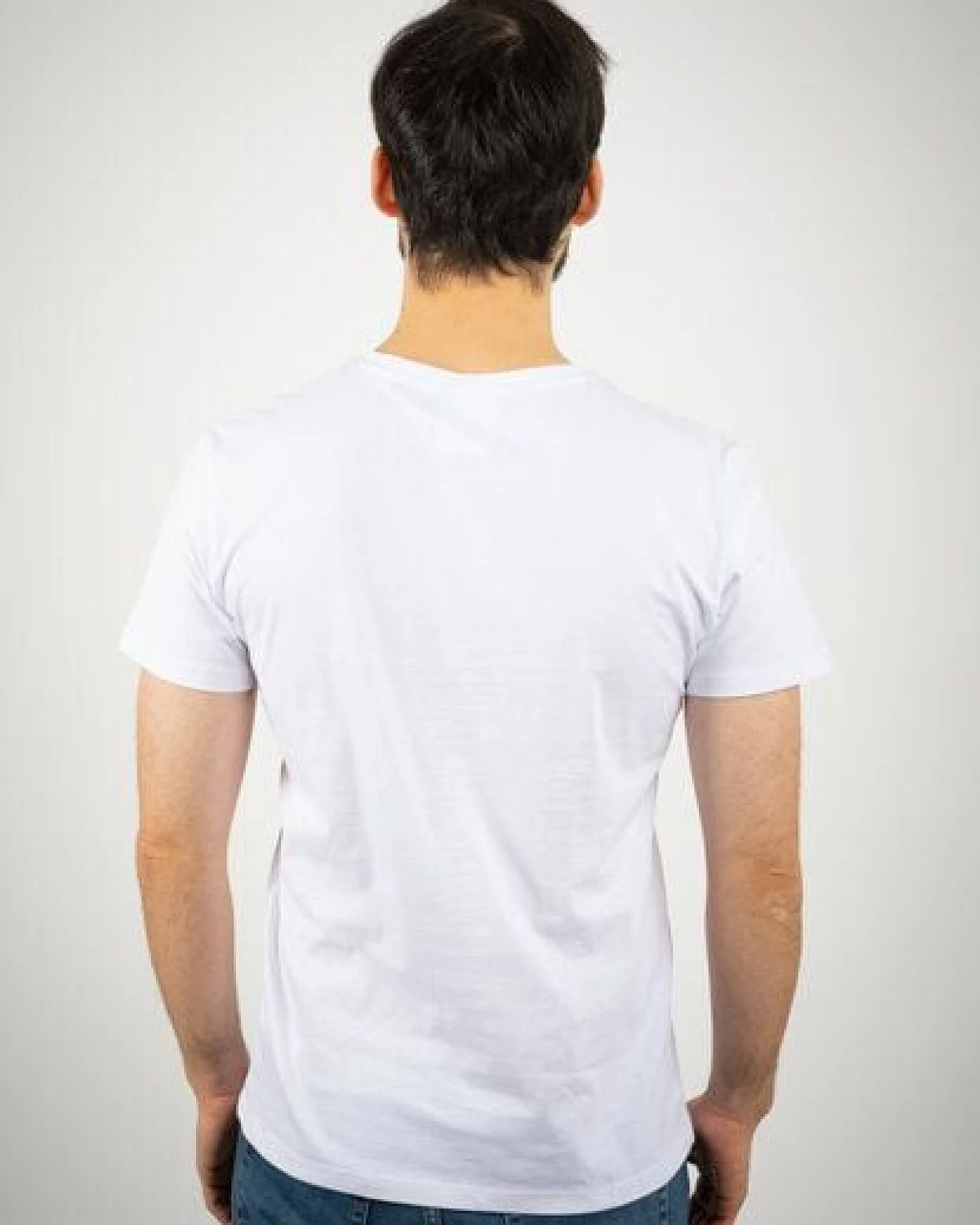 TORLAND Herren T-Shirt mit V- Ausschnitt PRESENTER – Ansicht 3