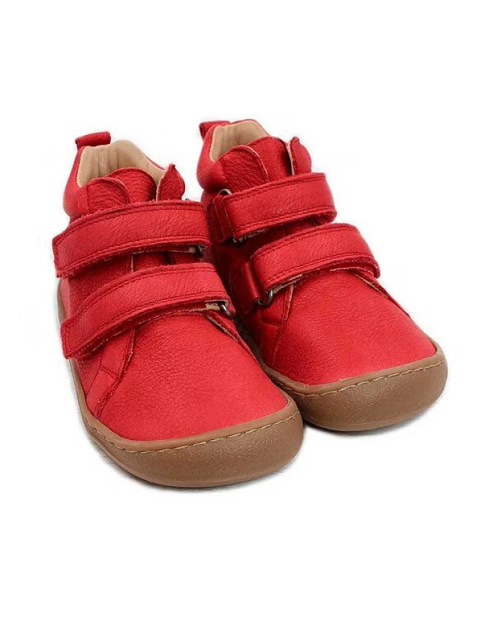 Rot