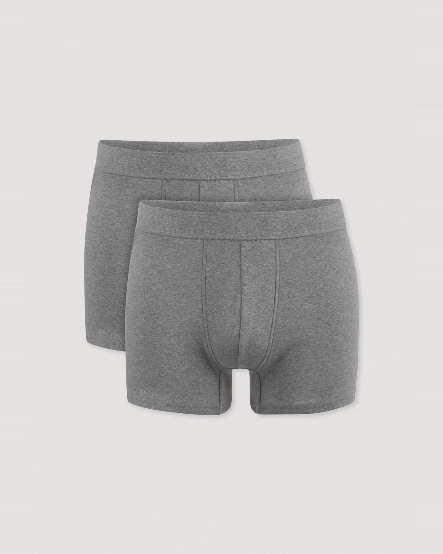 hessnatur Herren Pants Regular Cut im 2er-Pack PURE NATURE aus Bio-Baumwolle - grau - Größe 5 = M – Ansicht 4