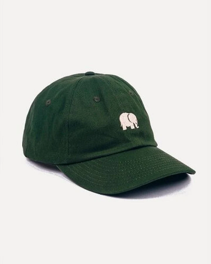 Trendsplant Logo Dad Cap Kombu Green