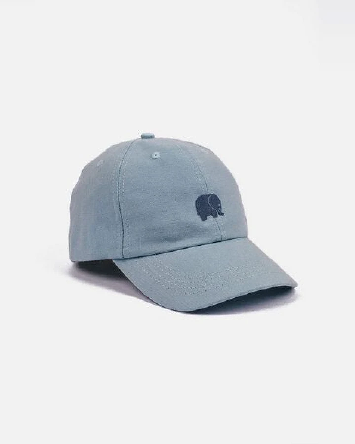 Trendsplant Logo Dad Cap Sky Blue