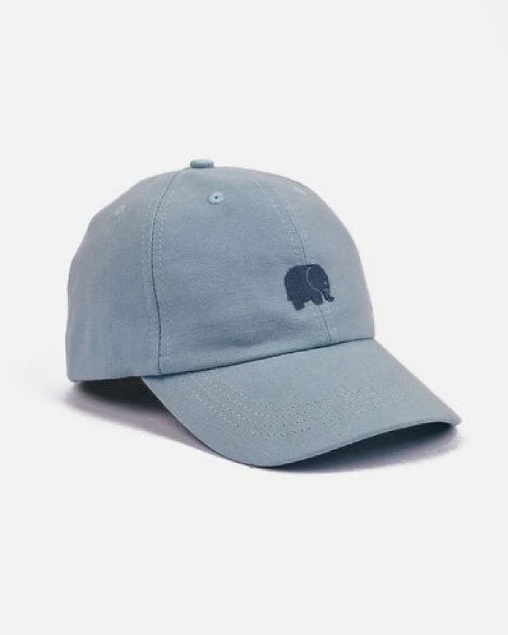 Trendsplant Logo Dad Cap Sky Blue