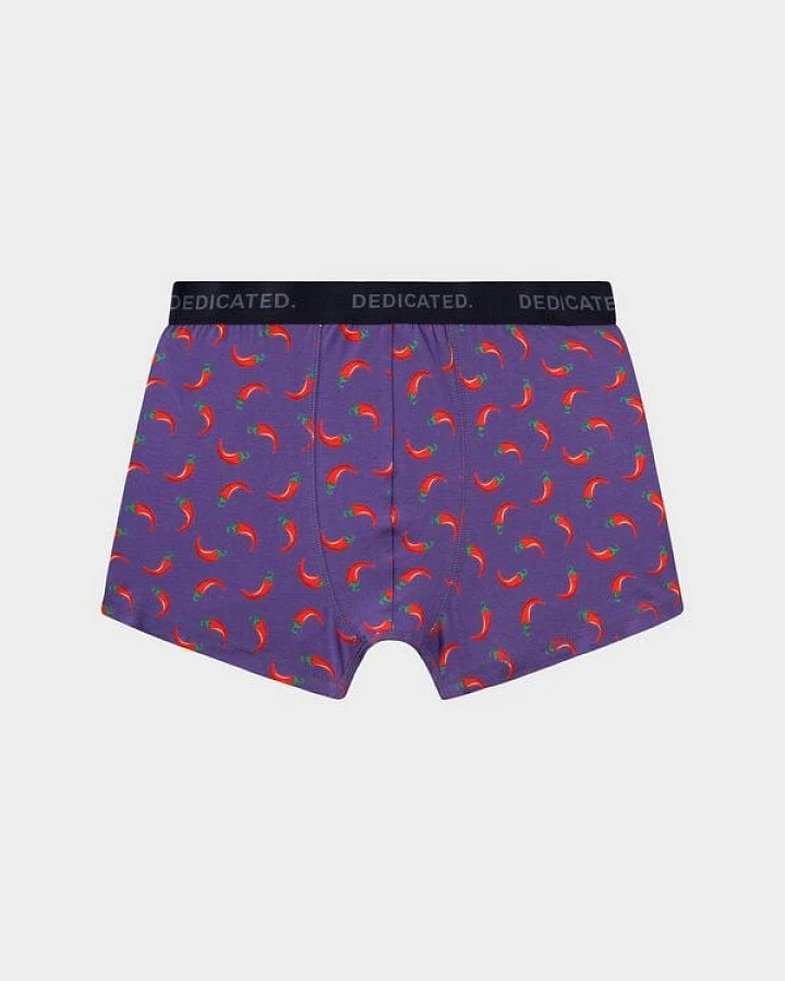 DEDICATED Boxershorts Kalix Chili - Purple