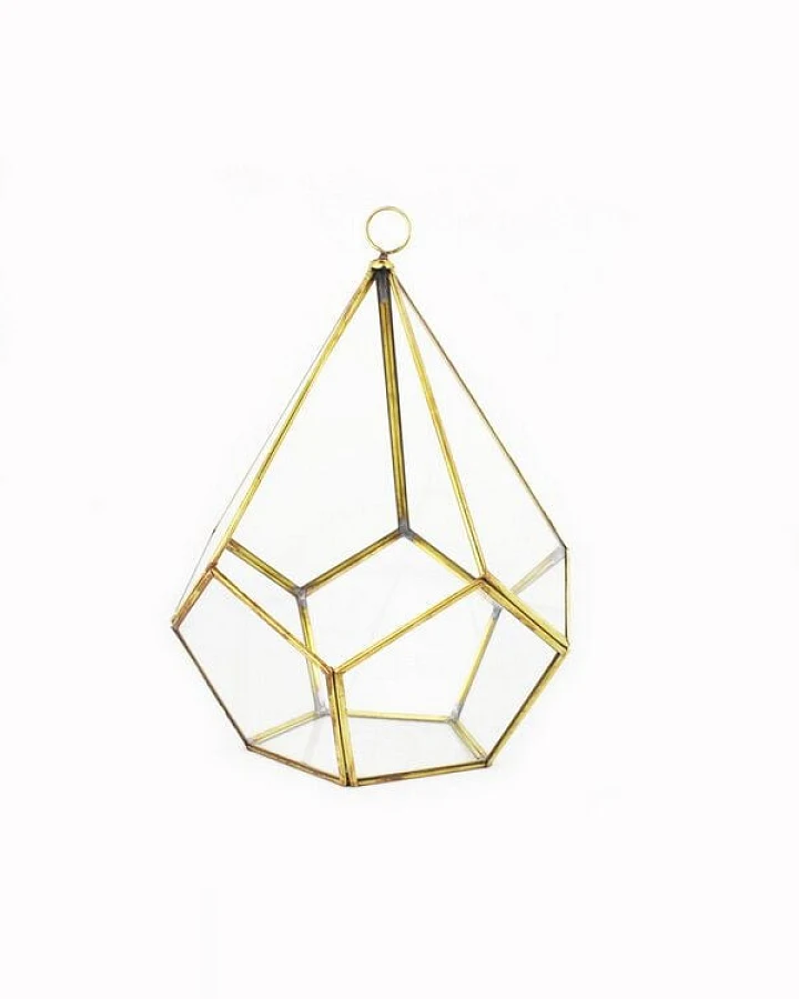 Mitienda Shop Geometrisches Terrarium aus Glas - Pentagonale - für Sukkulenten
