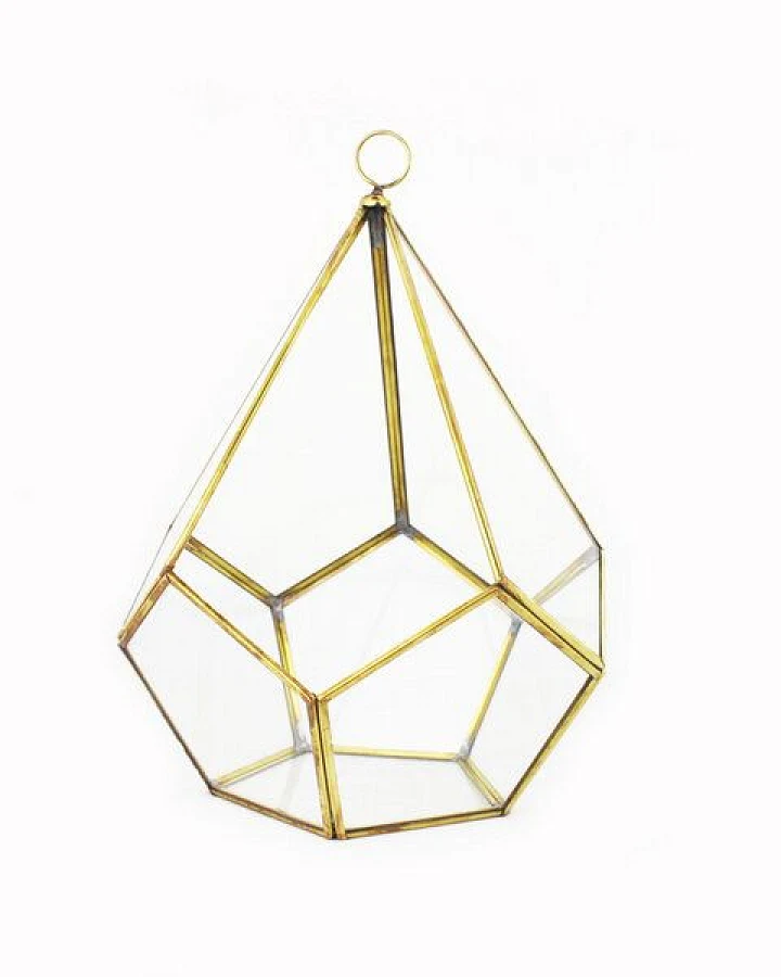 Mitienda Shop Geometrisches Terrarium aus Glas - Pentagonale - für Sukkulenten