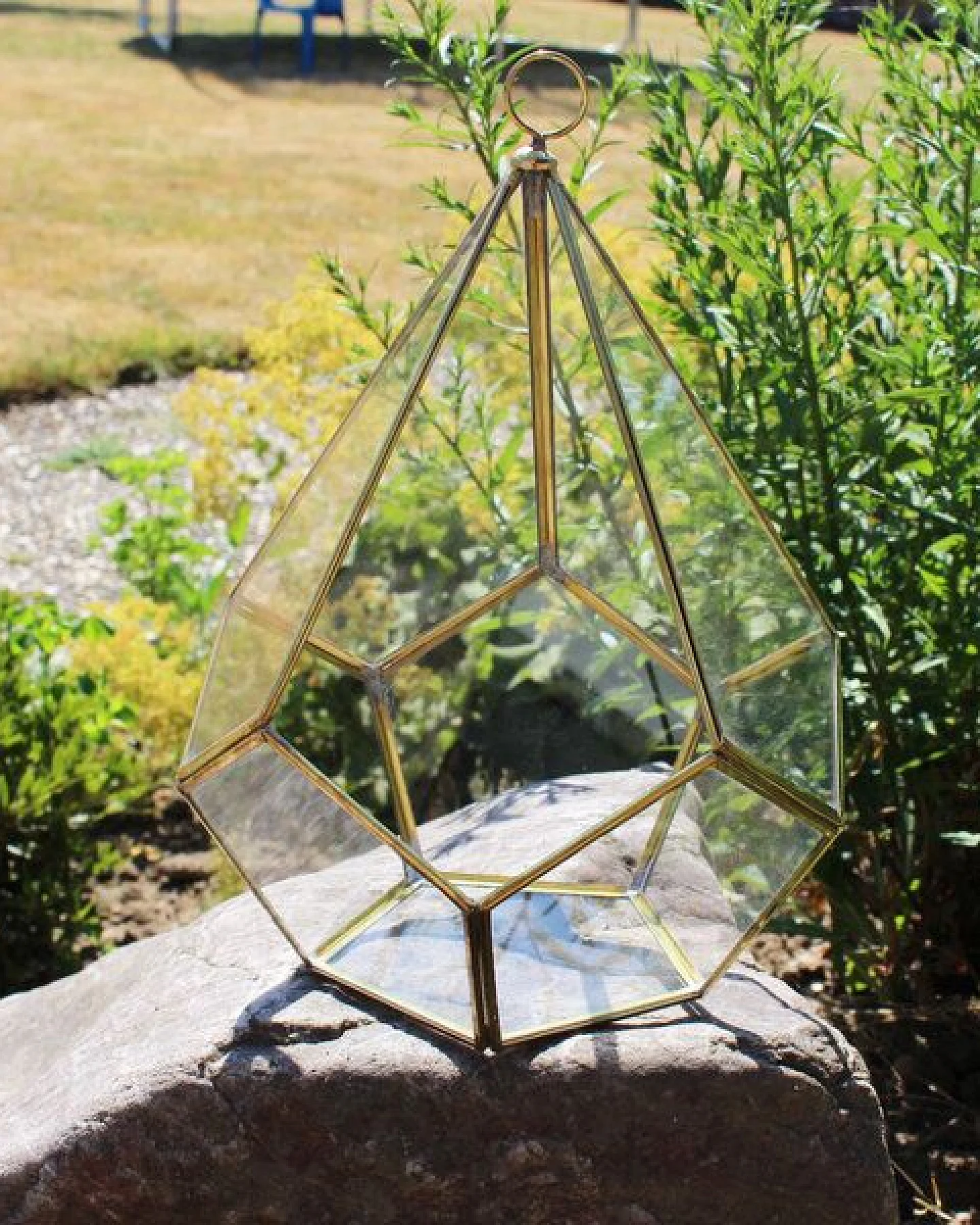 Mitienda Shop Geometrisches Terrarium aus Glas - Pentagonale - für Sukkulenten – Ansicht 2