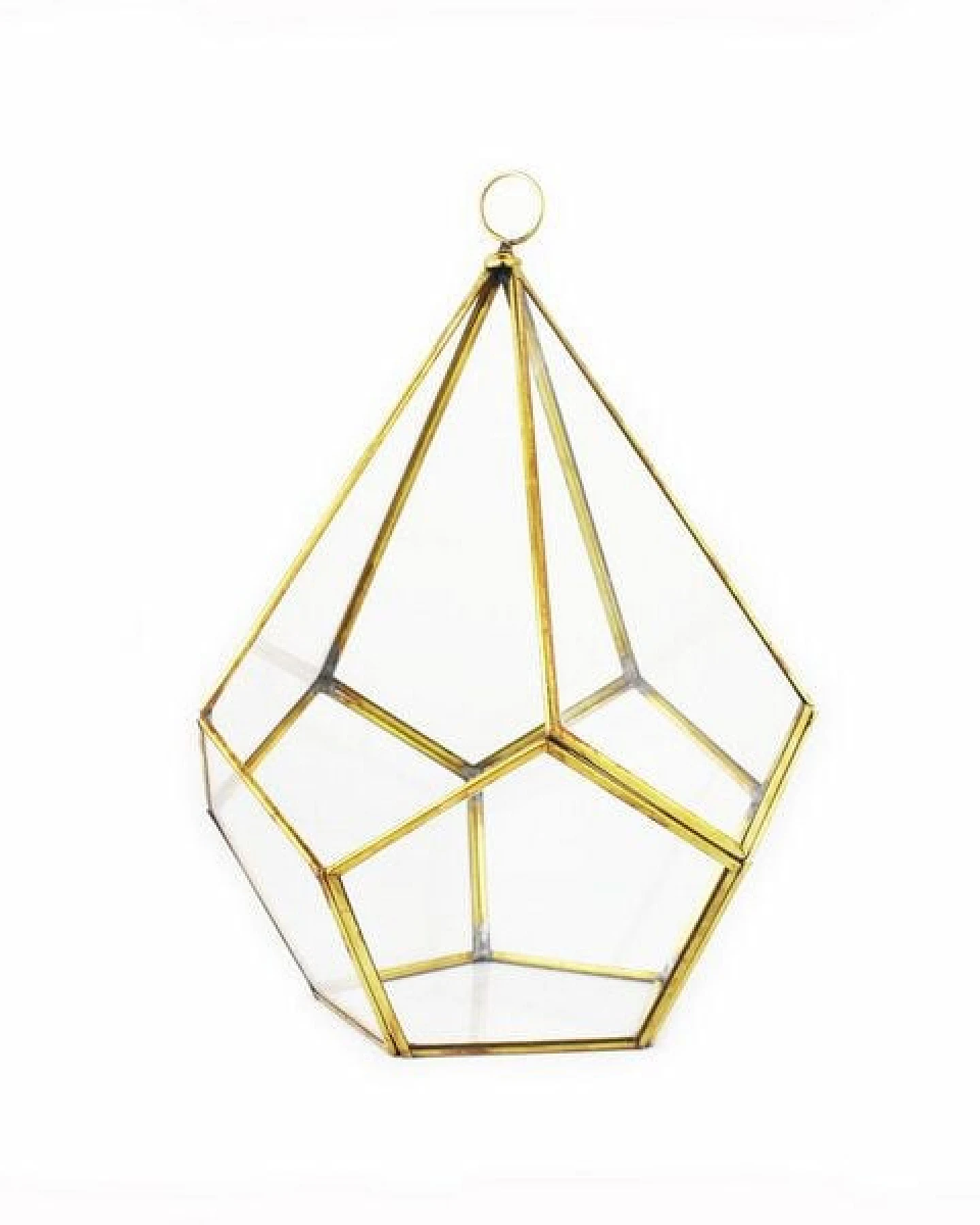 Mitienda Shop Geometrisches Terrarium aus Glas - Pentagonale - für Sukkulenten – Ansicht 3