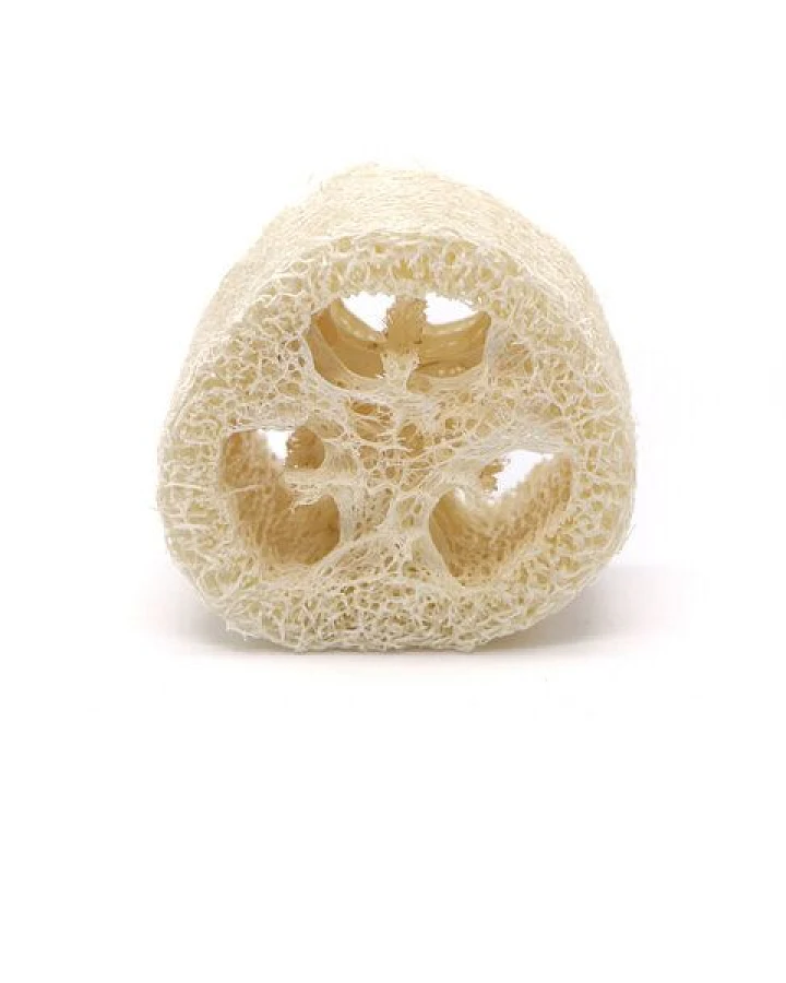 das ökolädchen Luffa-Stück – 4 cm