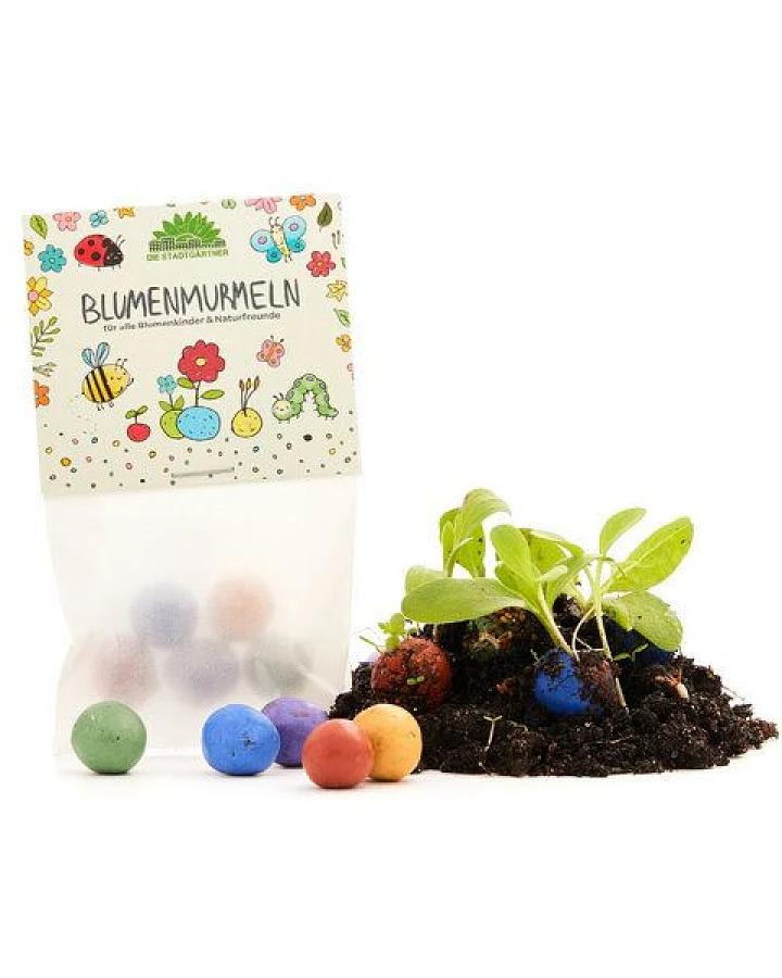 Die Stadtgärtner Set aus 10 x 5 bunten Blumenmurmeln für Kinder I Mitgebsel für den Kindergeburtstag I Abschiedsgeschenk