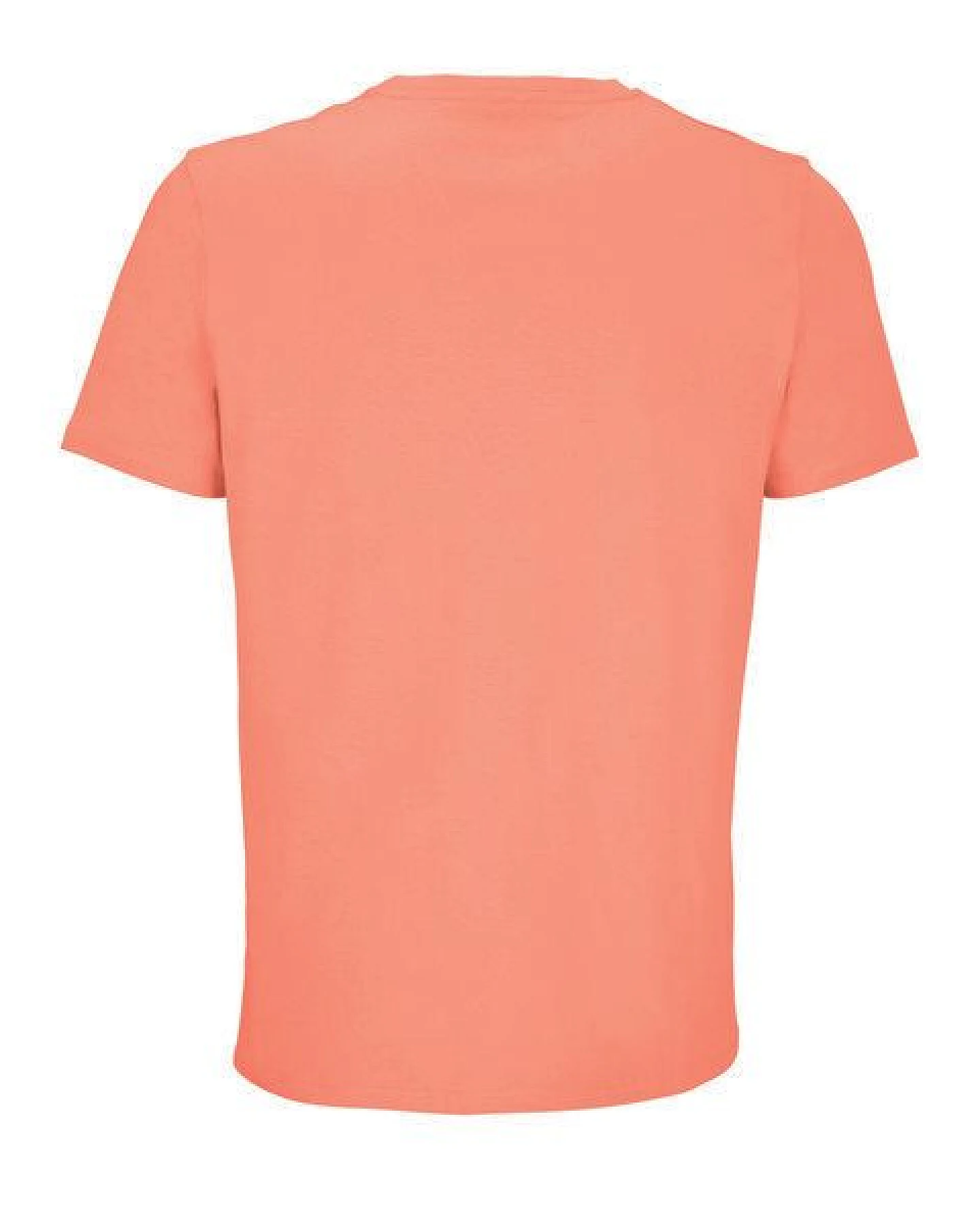 Sol's Unisex Bio Baumwolle in Umstellung T-Shirt Rundhals 27 verschiedene Farben teilweise bis Gr. 4XL – Ansicht 3