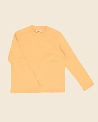 Apricot