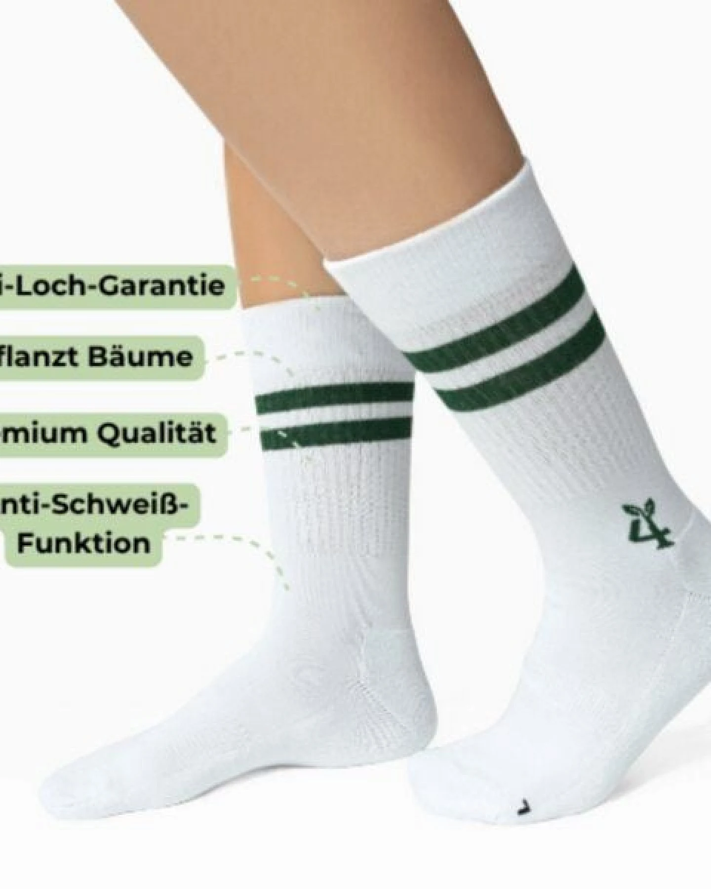 Socks For Plants Nachhaltige Baumwollsocken in Top-Qualität 4er Pack – Ansicht 3
