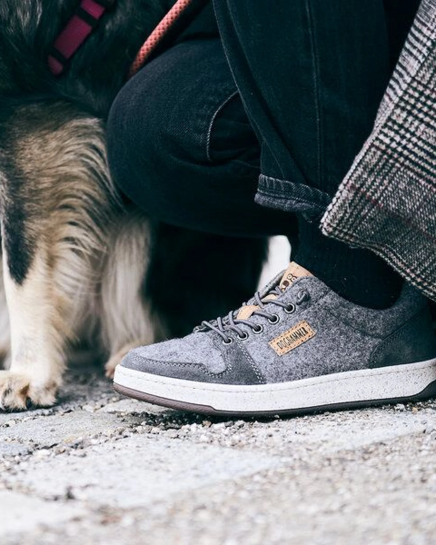 Doghammer Nachhaltiger Sneaker für Damen mit Wolle - Wool Commuter – Ansicht 4