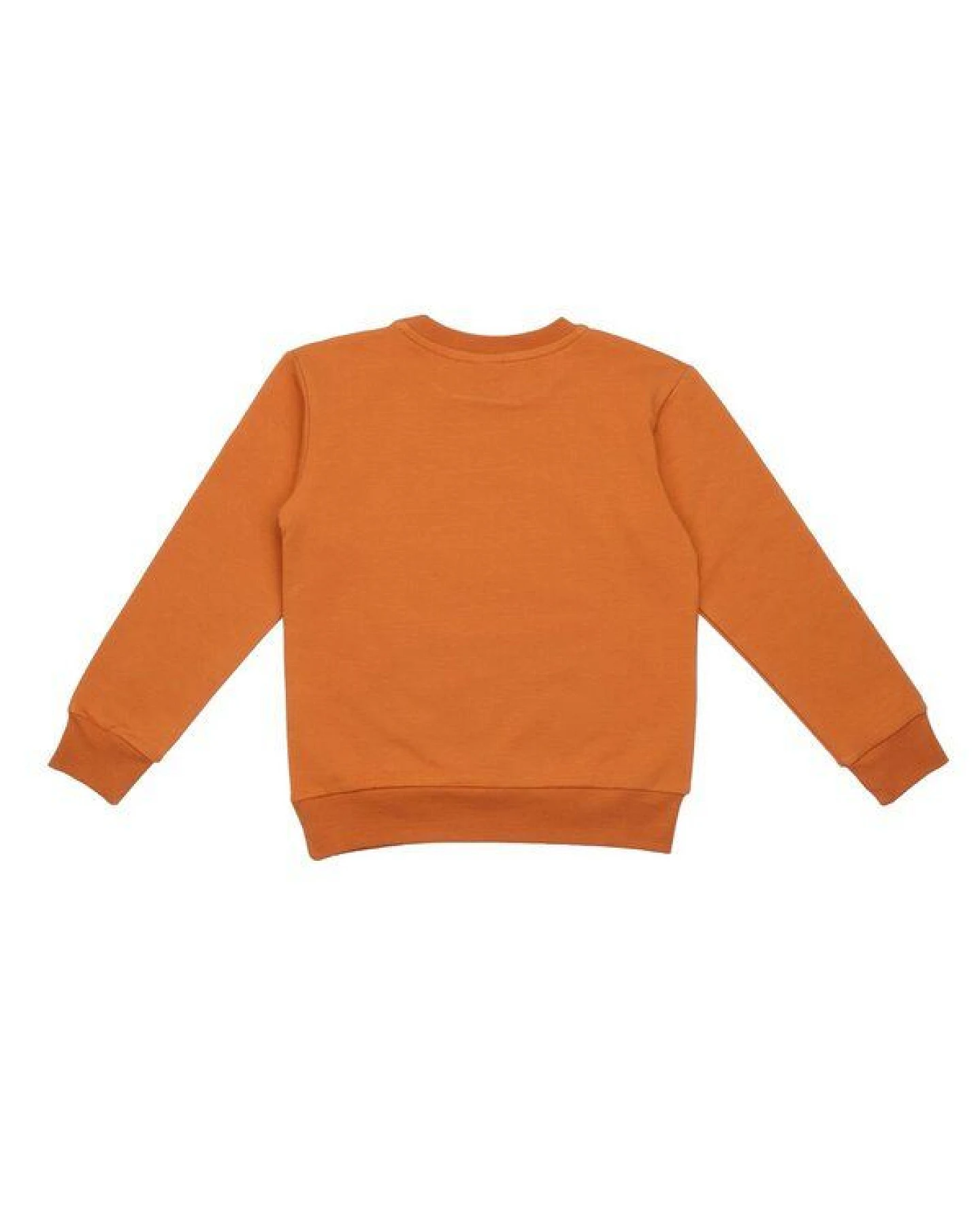 Walkiddy Pullover-Sweatshirt aus Baumwolle (Bio) – Ansicht 3