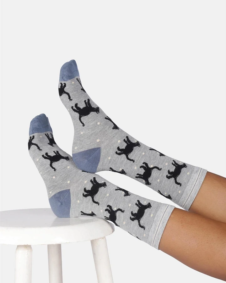 Socken Modell: Cats & Dogs