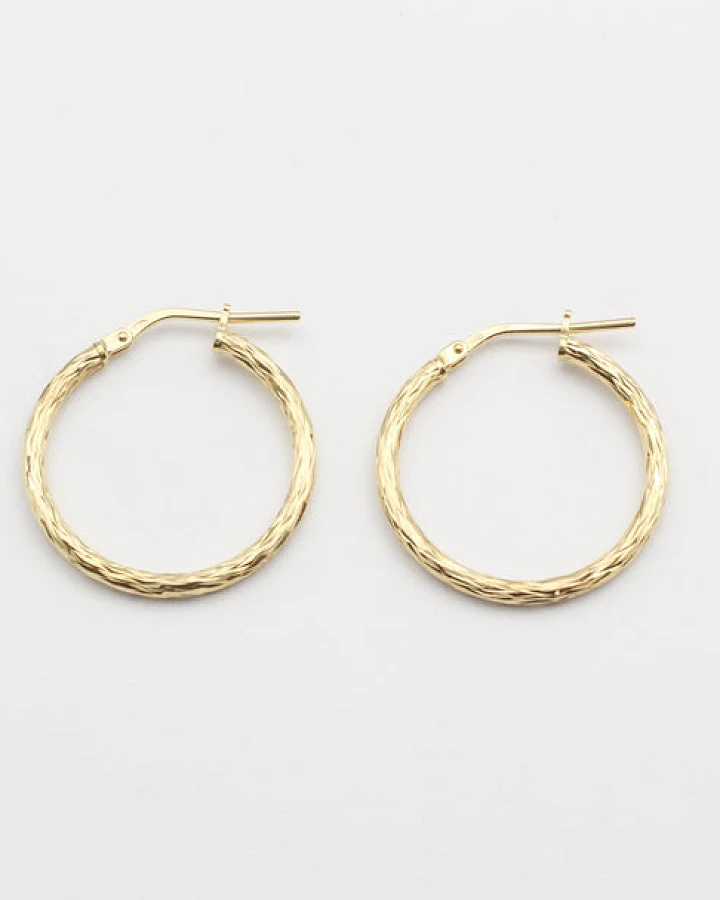 Kreolen Modell: Shiny Hoop