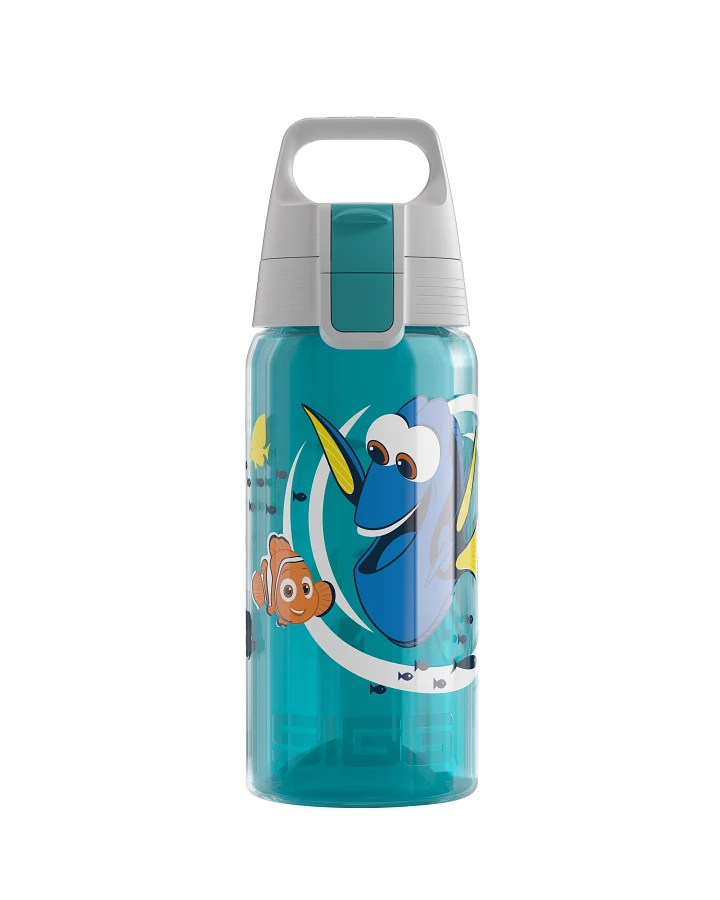 Dory