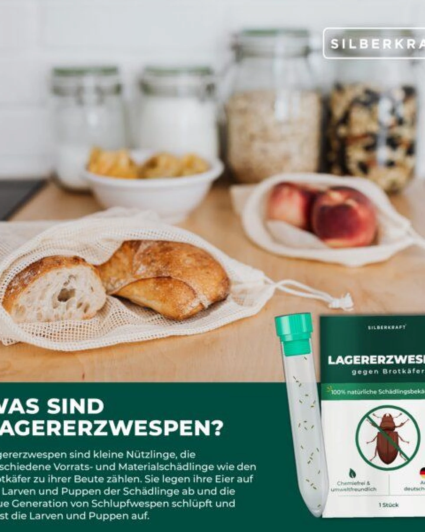 Silberkraft Lagererzwespen gegen Brotkäfer, Tabakkäfer, Kugelkäfer, Messingkäfer (Lariophagus distinguendes, Anisopteromalus calandrae) – Ansicht 3