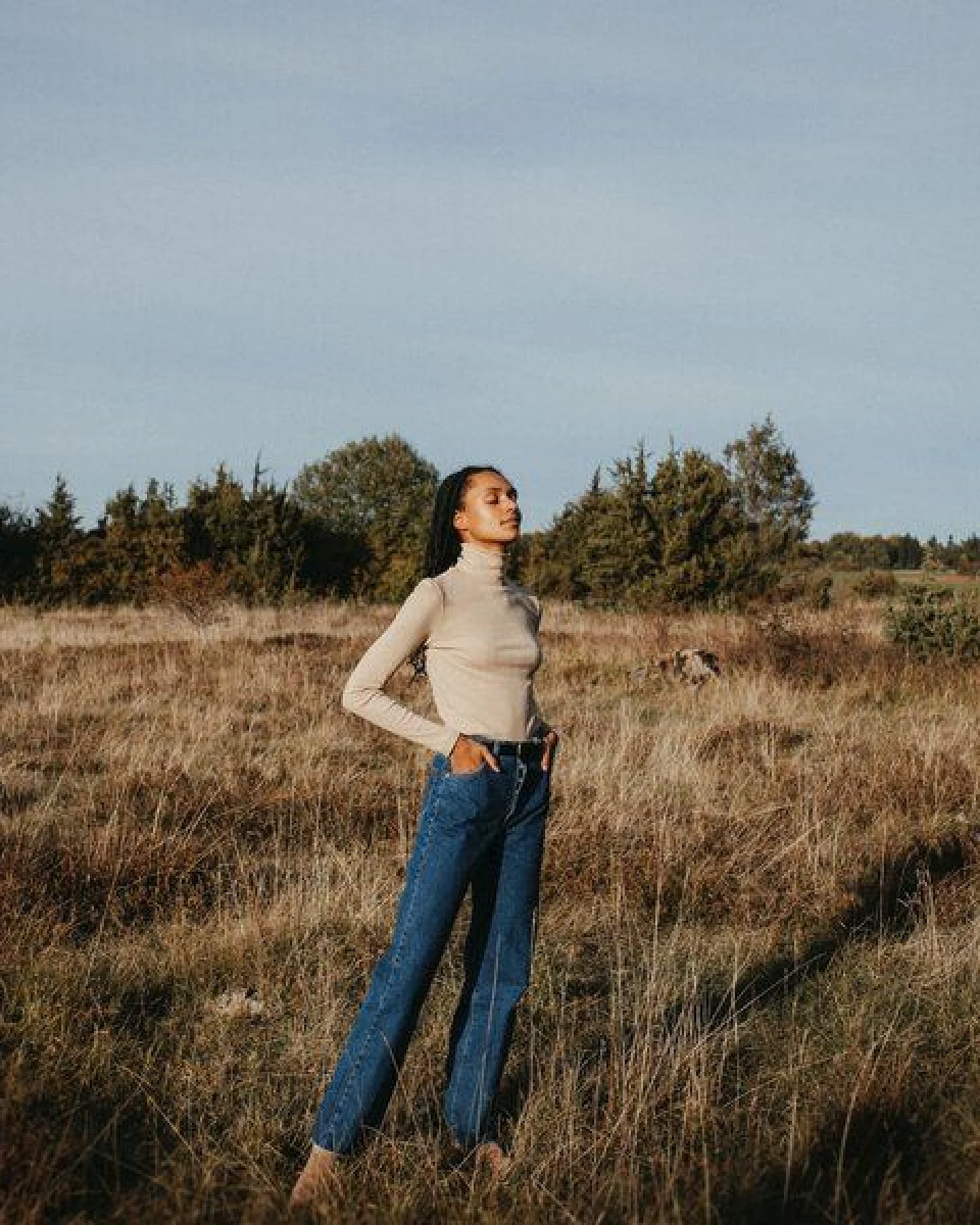 NORDLICHT Damen Rollkragenshirt aus Bio-Baumwolle DANA – Ansicht 3