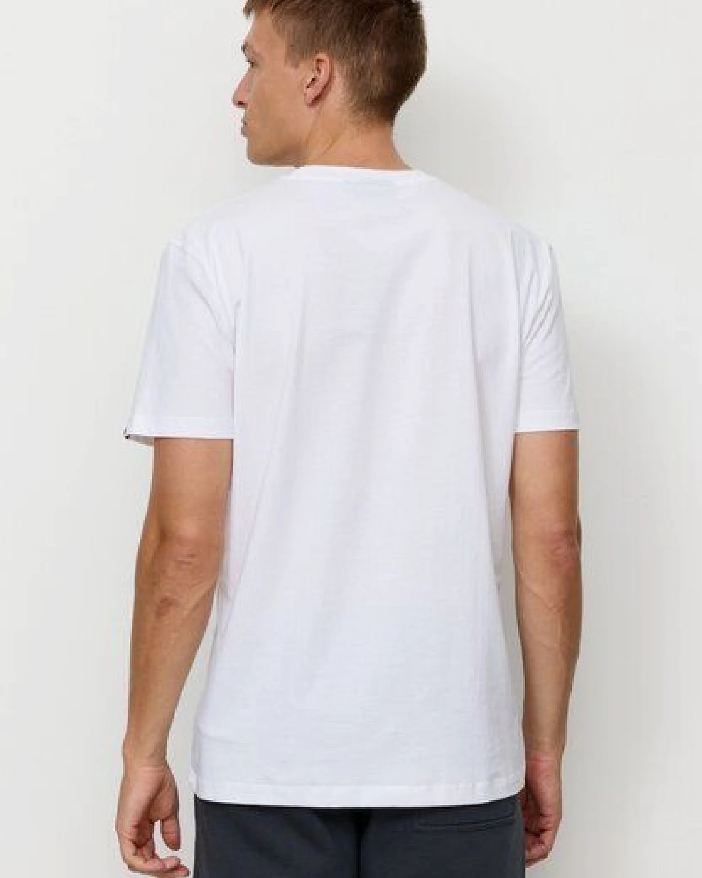 Herren T-Shirt aus Bio-Baumwolle - AGAVE TUTTO BENE - recolution – Ansicht 2