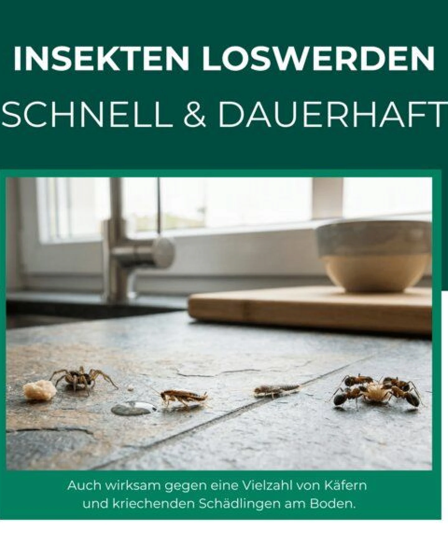Silberkraft Ungeziefer/ Insektenfalle mit Spezial-Lockstoff – Ansicht 2