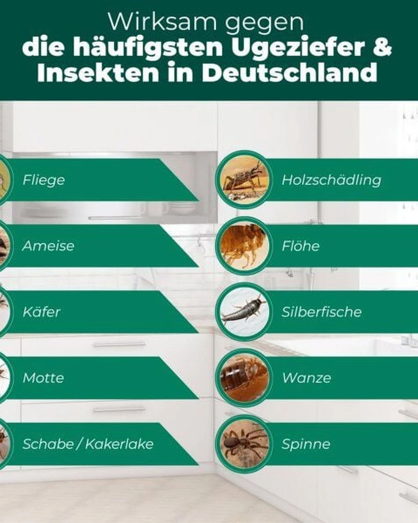 Silberkraft Ungeziefer/ Insektenfalle mit Spezial-Lockstoff – Ansicht 4