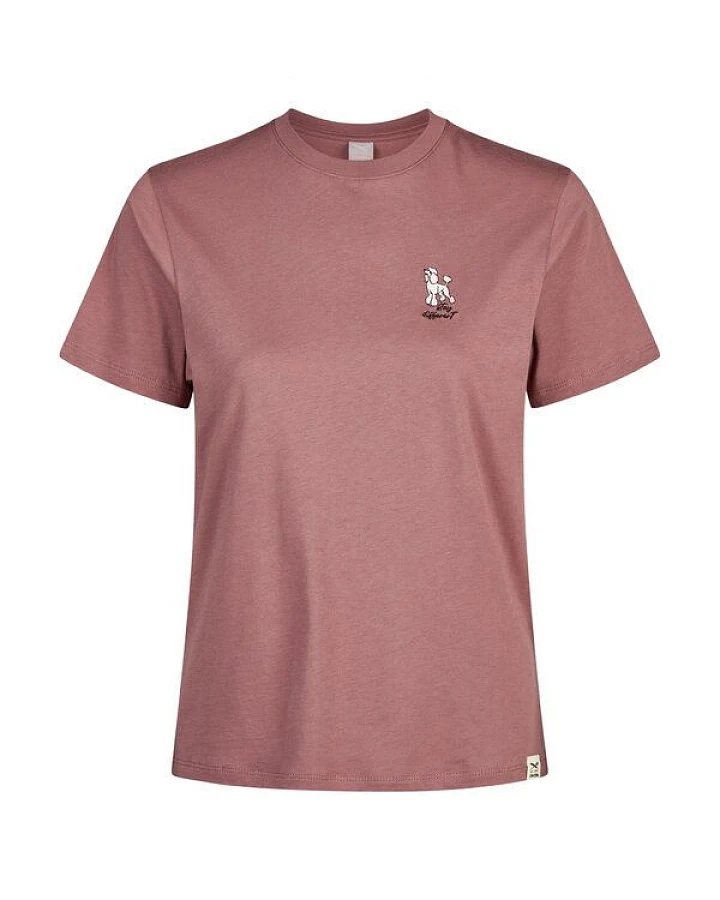 Iriedaily Floodle T-Shirt