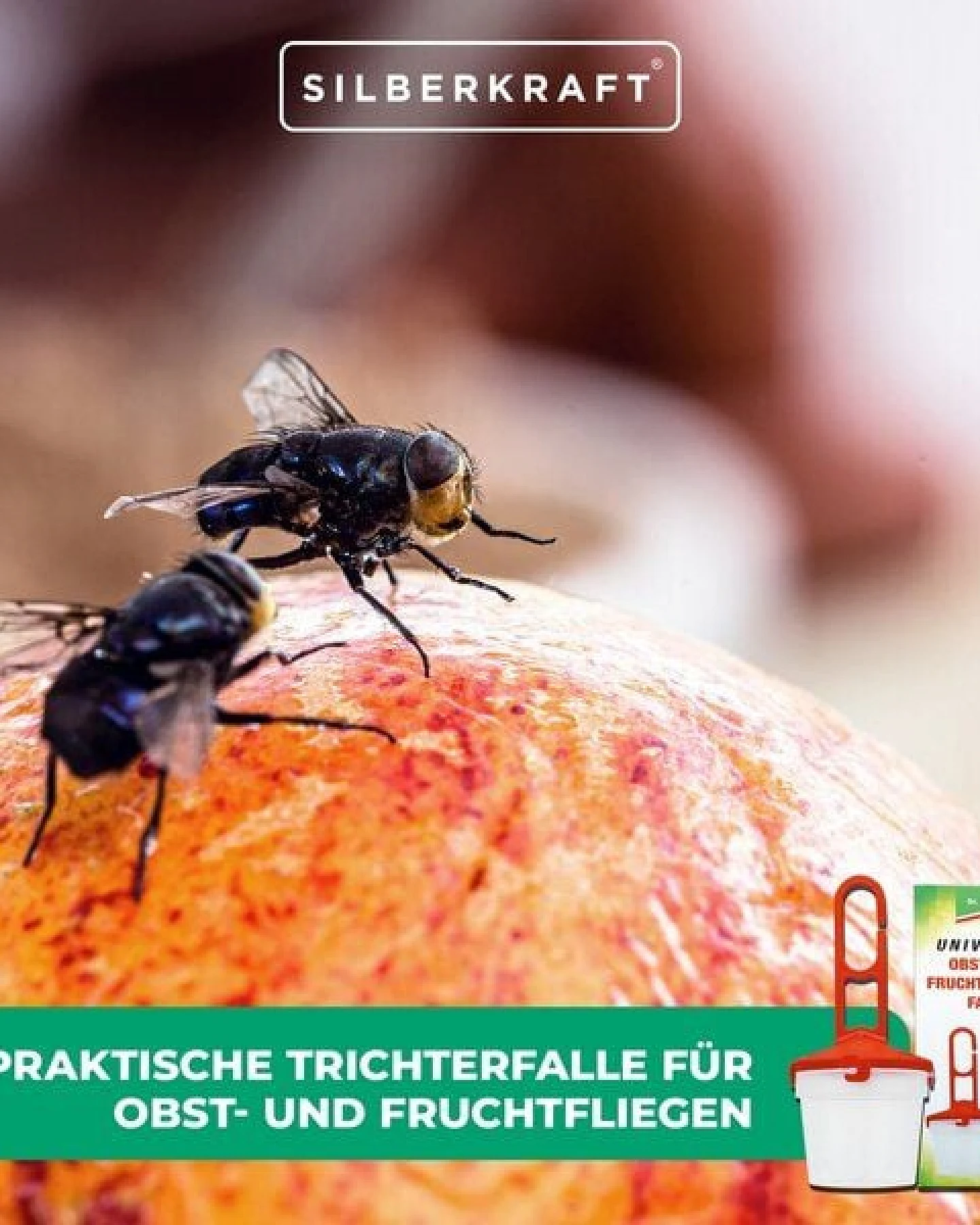 Silberkraft Universal Obst- und Fruchtfliegenfalle - Zum Befüllen mit einem Lockstoff gegen Fruchtfliegen – Ansicht 4