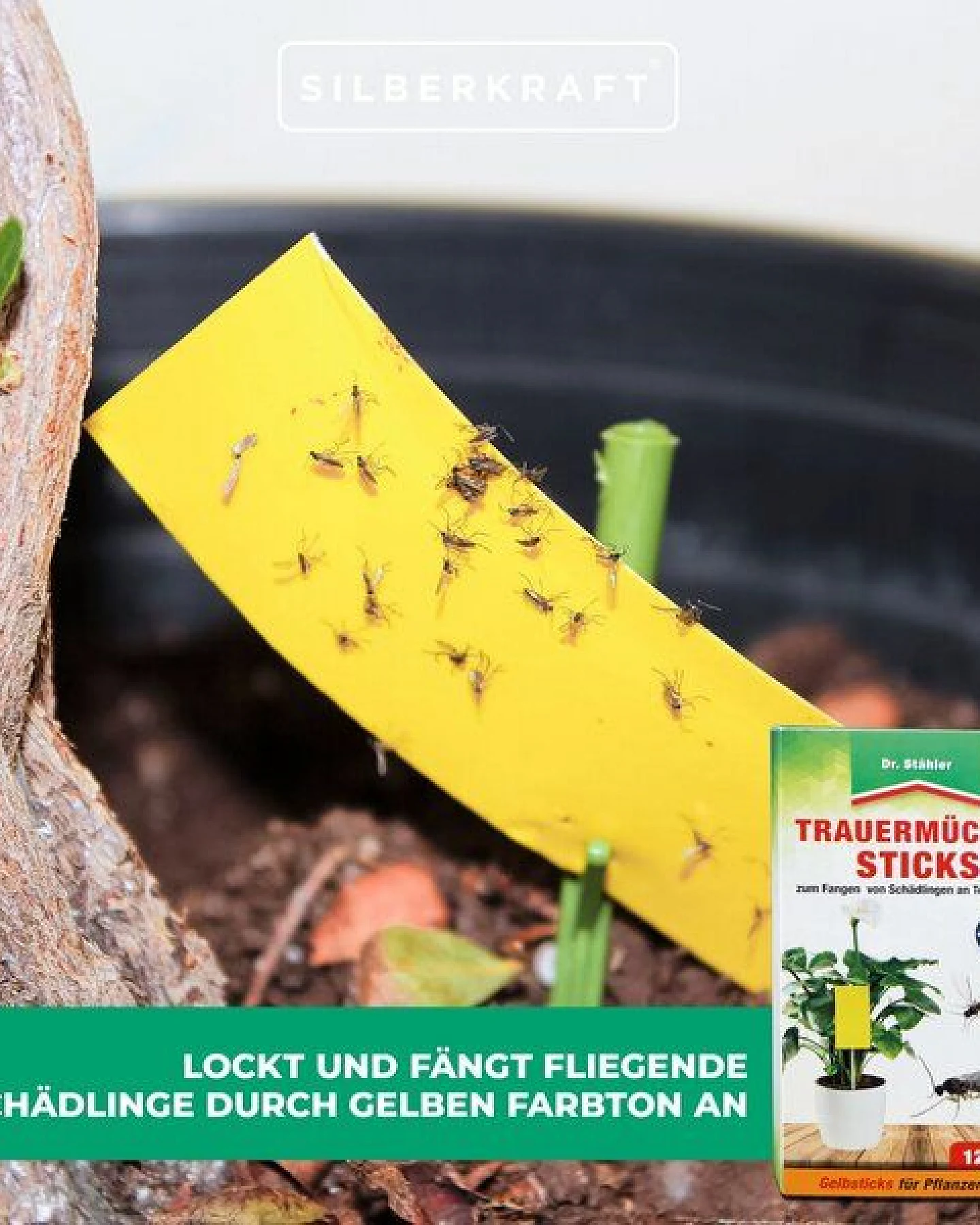 Silberkraft Trauermücken-Sticks: Effektive Bekämpfung von Weiße Fliegen, Trauermücken, Obst- und Essigfliegen, Thripsen und Zikaden – Ansicht 3