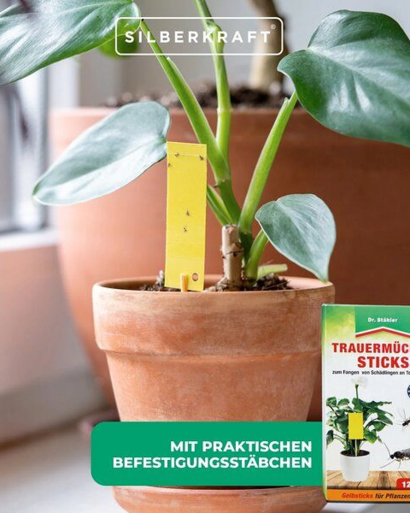Silberkraft Trauermücken-Sticks: Effektive Bekämpfung von Weiße Fliegen, Trauermücken, Obst- und Essigfliegen, Thripsen und Zikaden – Ansicht 4