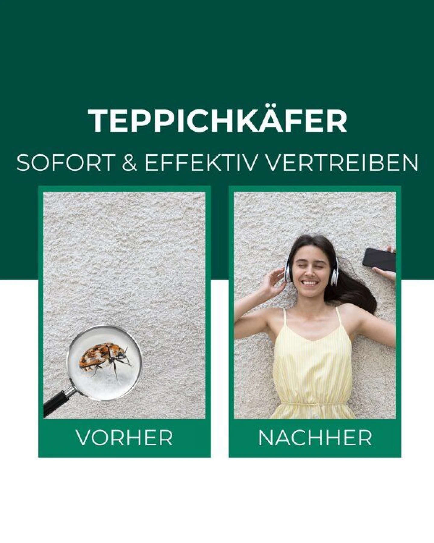 Silberkraft Teppichkäfer Spray - Teppichkäfer vertreiben & loswerden – Ansicht 2