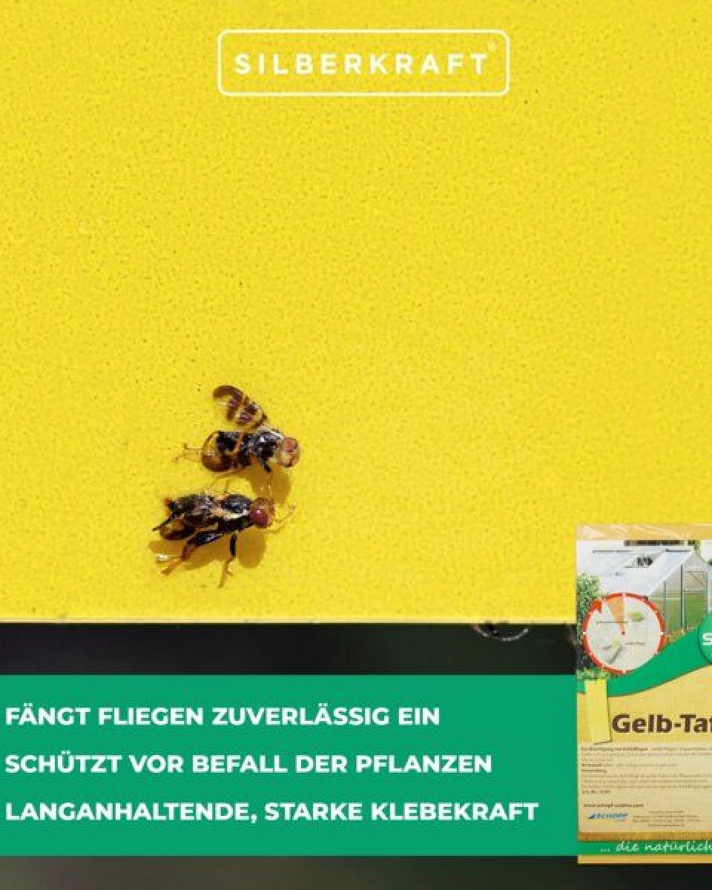 Silberkraft Silence Gelbtafeln: Effektive Lösung gegen weiße Fliegen, Trauermücken, Obst- und Essigfliegen – Ansicht 3