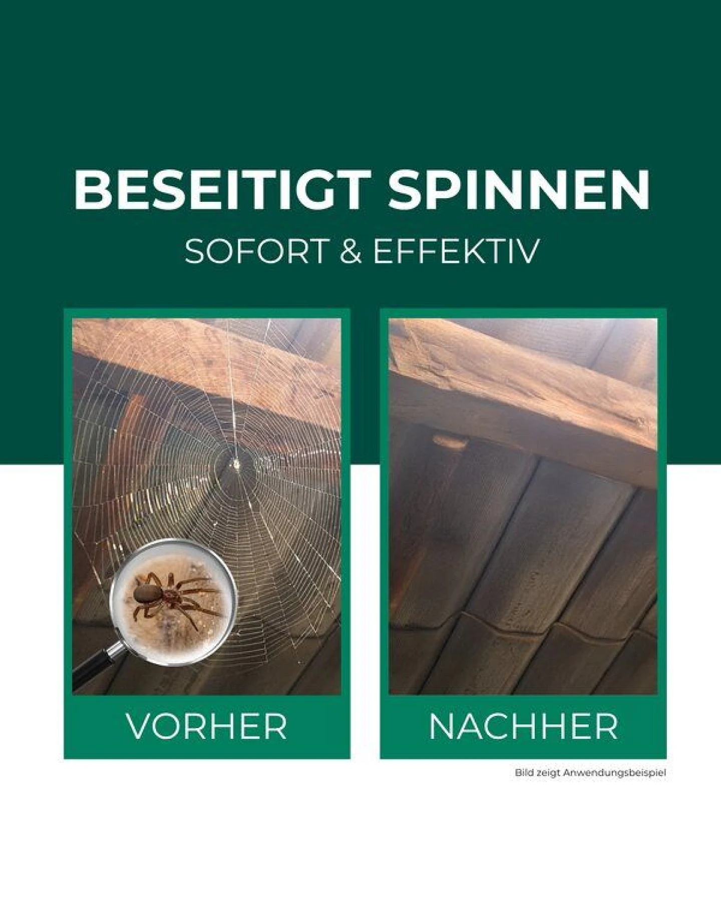 Silberkraft Spinnenspray 500 ml inkl. E-Book – Ansicht 2