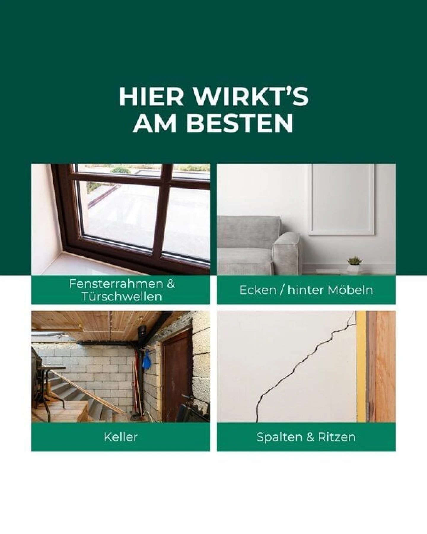 Silberkraft Spinnenspray 500 ml inkl. E-Book – Ansicht 3
