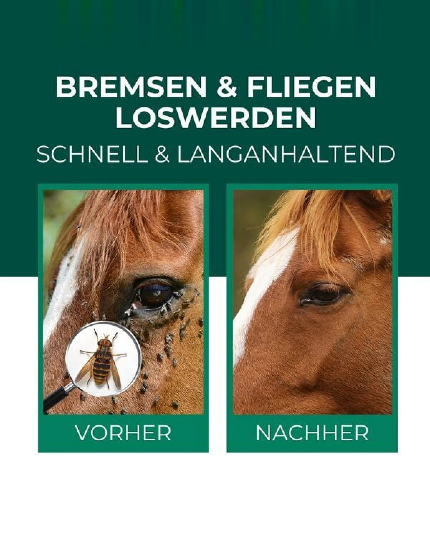 Silberkraft Bremsen-Spray für Pferde – Ansicht 2
