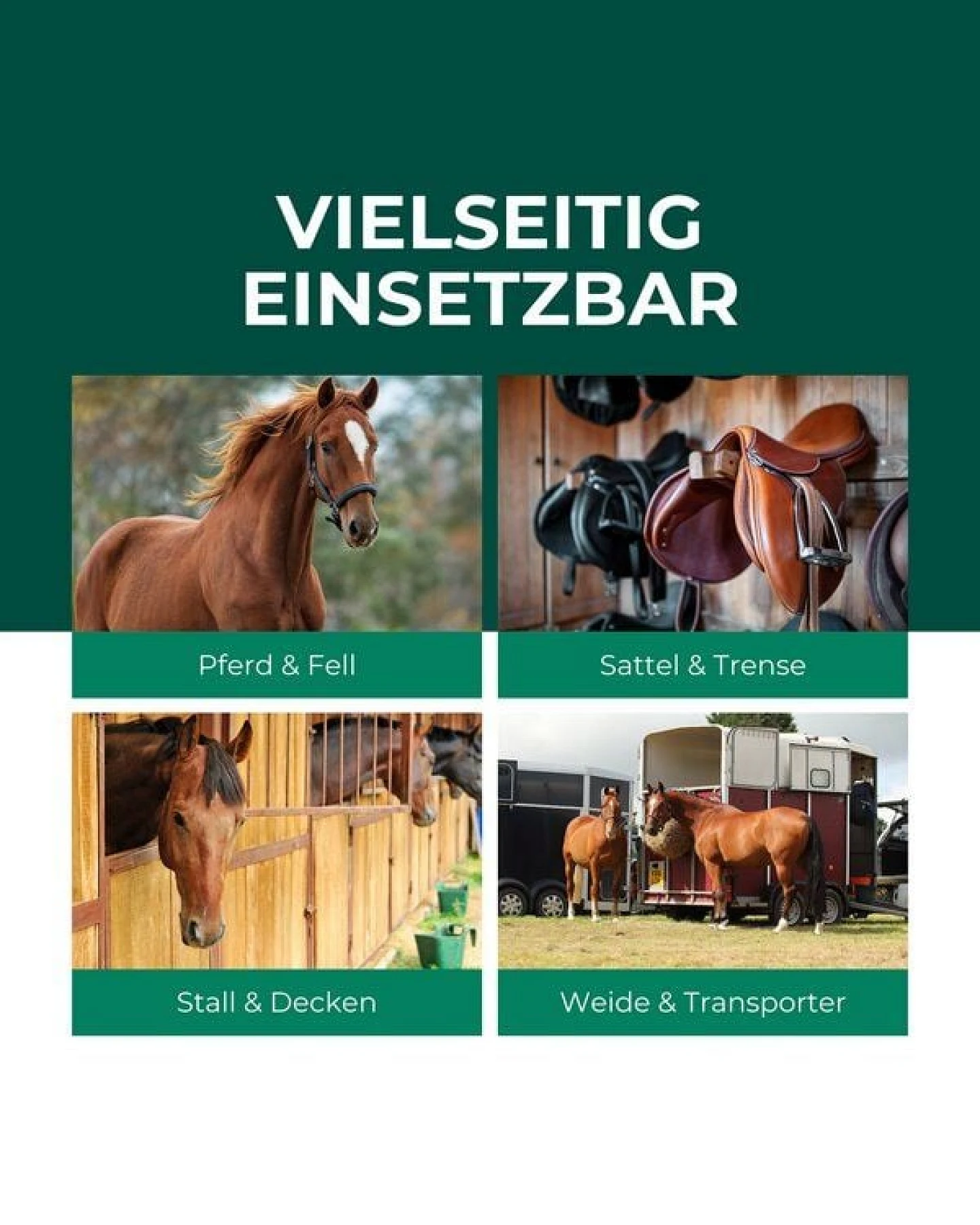 Silberkraft Bremsen-Spray für Pferde – Ansicht 3